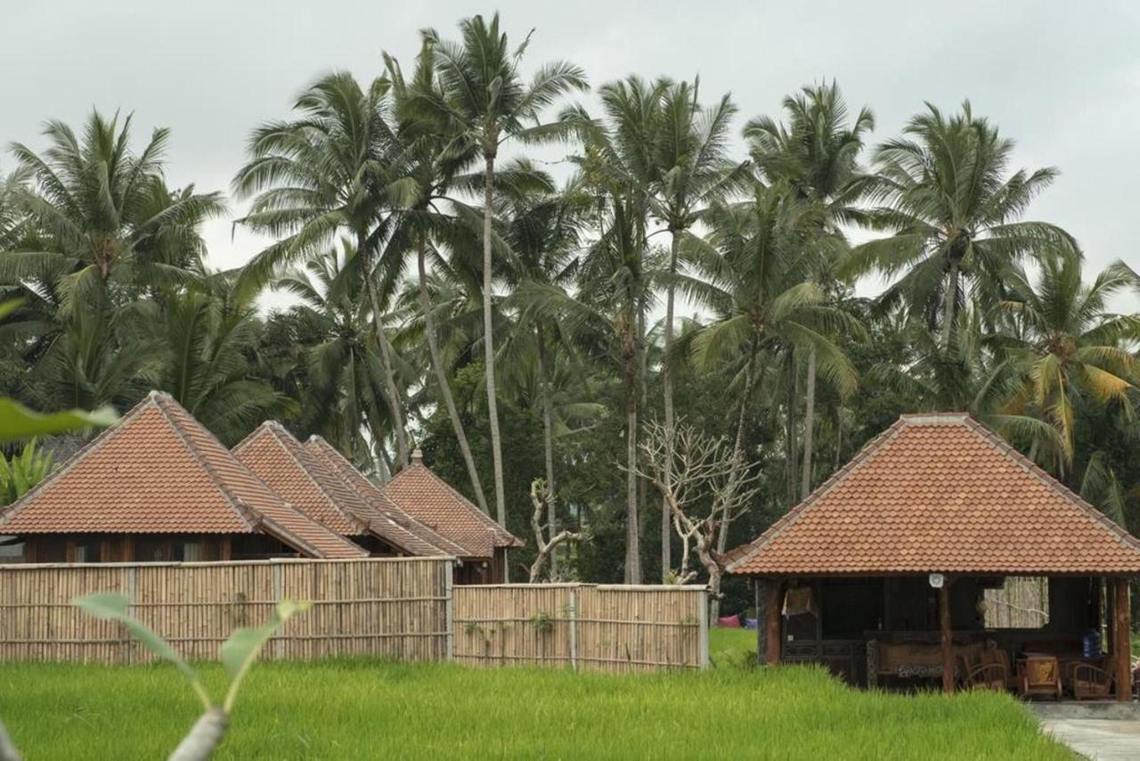 Hotel Kishi-Kishi Ubud Esterno foto