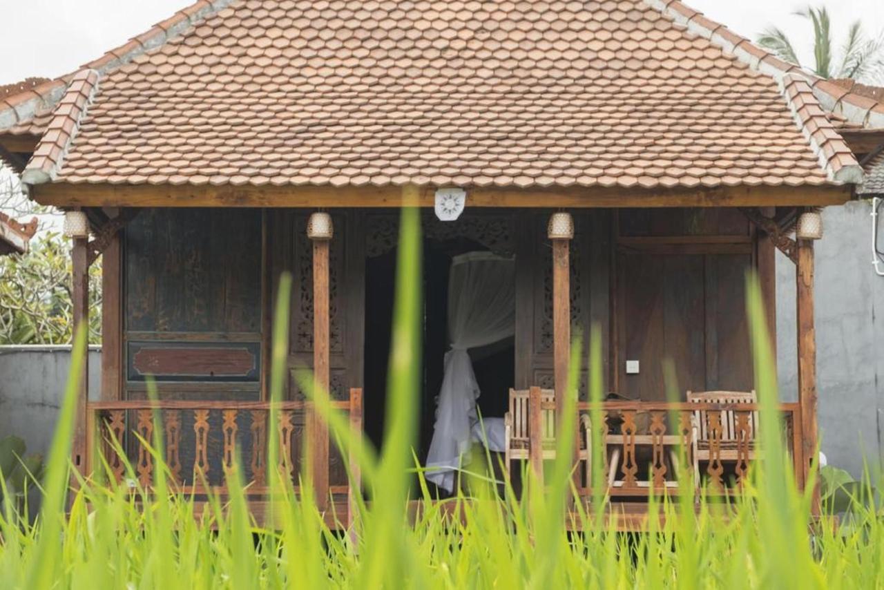 Hotel Kishi-Kishi Ubud Esterno foto