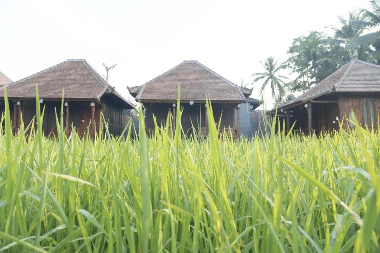 Hotel Kishi-Kishi Ubud Esterno foto