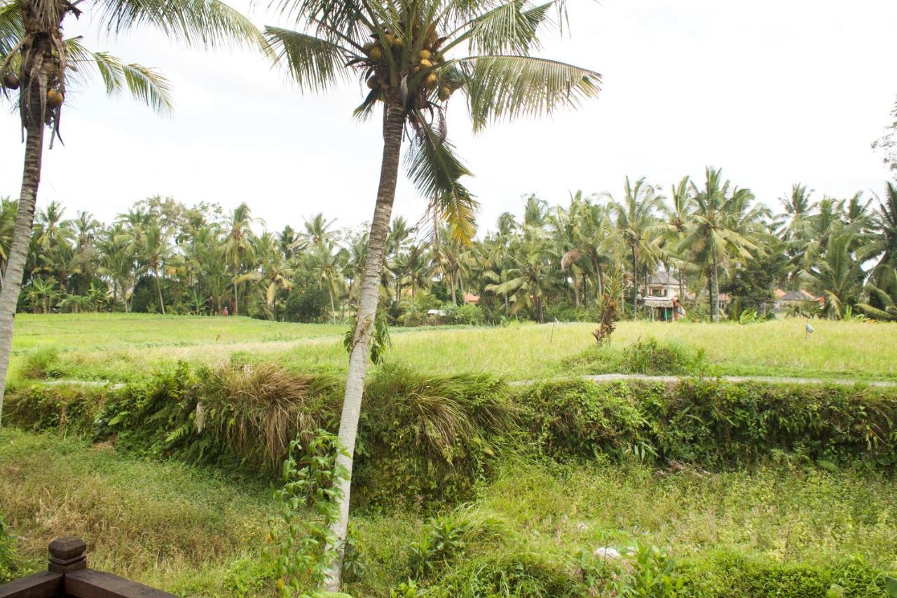Hotel Kishi-Kishi Ubud Esterno foto