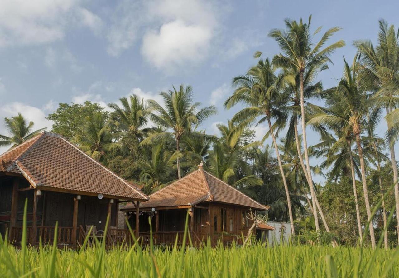 Hotel Kishi-Kishi Ubud Esterno foto