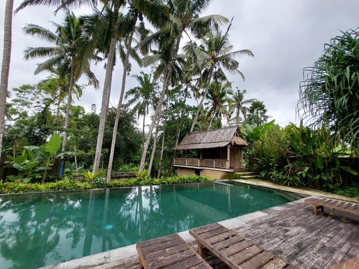 Hotel Kishi-Kishi Ubud Esterno foto