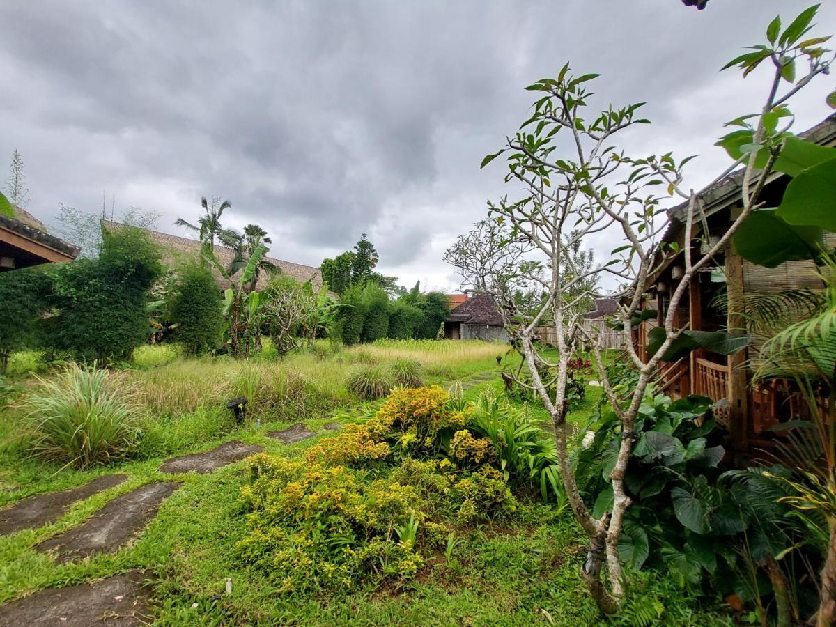 Hotel Kishi-Kishi Ubud Esterno foto