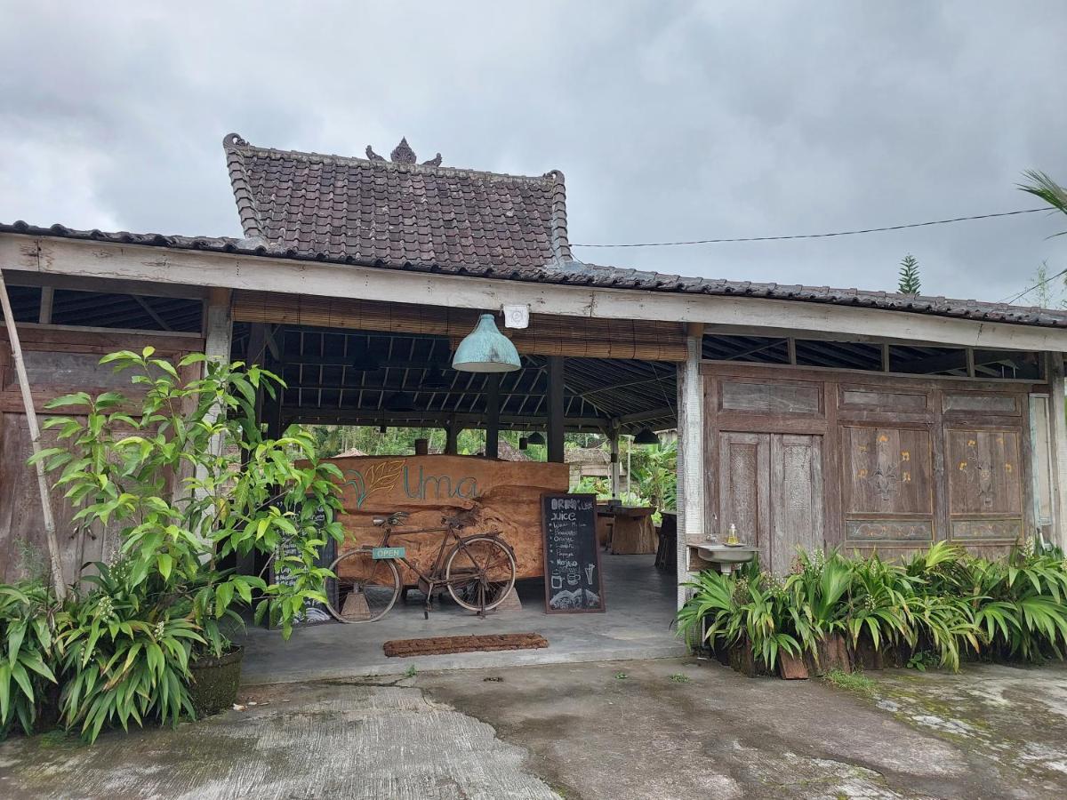 Hotel Kishi-Kishi Ubud Esterno foto
