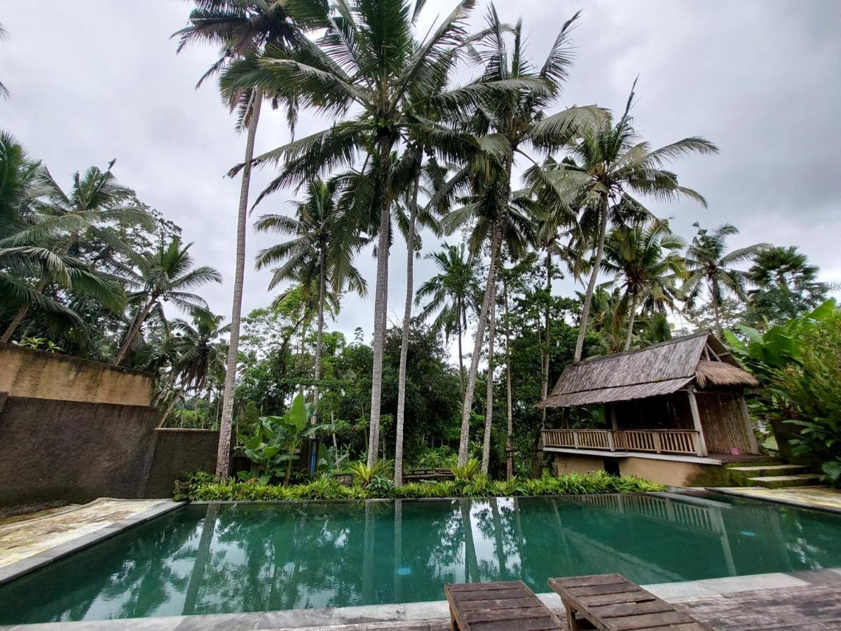 Hotel Kishi-Kishi Ubud Esterno foto